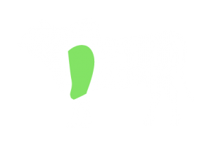 frigorifico-verdi-carnes-pouso-redondo-sc-local-corte-paleta-shoulder