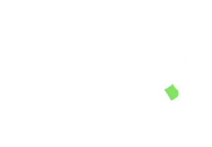 frigorifico-verdi-carnes-pouso-redondo-sc-local-corte-verdi-musculo-do-traseiro